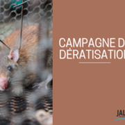 Campagne de dératisation 2025