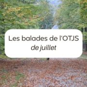 Les balades de l'OTJS en juillet