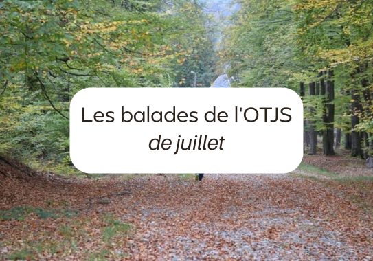 Les balades de l'OTJS en juillet