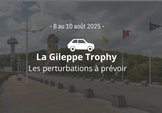 Perturbations Gileppe Trophy 2025