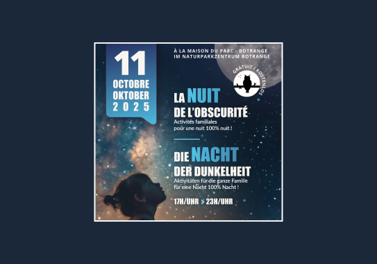 Nuit de l'Obscurité 2025