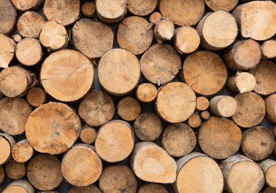 Vente de bois de marchands