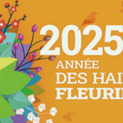 Distribution de plants - Semaine de l'arbre