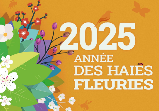 Distribution de plants - Semaine de l'arbre
