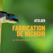 Semaine de l'arbre - Fabrication de nichoir