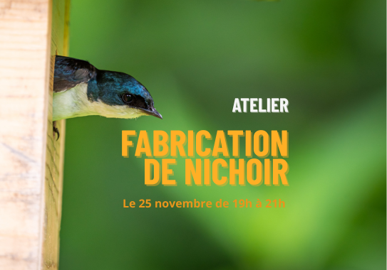 Semaine de l'arbre - Fabrication de nichoir