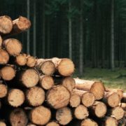Vente publique - coupes de bois 2026